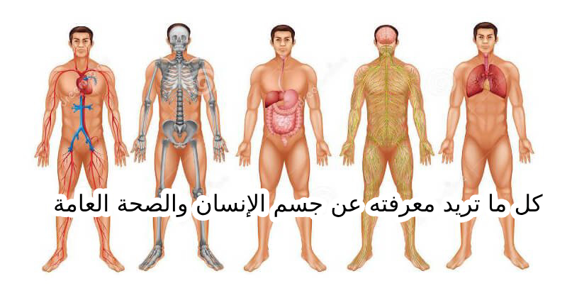 25 سؤال وجواب عن كل ما تريد معرفته عن جسم الإنسان والصحة العامة