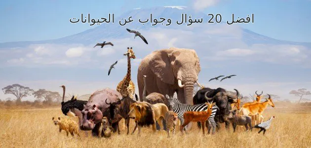 افضل 20 سؤال وجواب عن الحيوانات والطبيعة