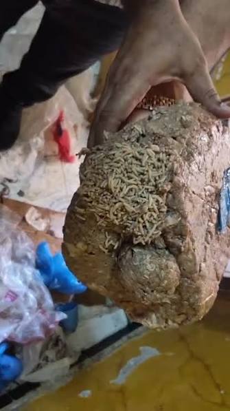 تموين مطروح يضبط مخزنًا غير مرخص للحوم المجمدة المخالفة للاشتراطات الصحية